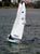 click to enlarge picture Bart bomans