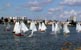 click to enlarge picture before the start