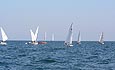 Picture of the fleet upwind
