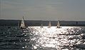 Picture of the fleet upwind
