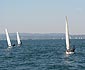 Picture of the fleet upwind