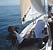 Sailback