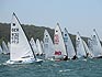click on Image to enlarge Start of race 1