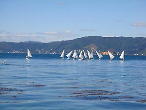 Light wind on the way home