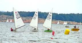 OK Sailing at swedish championship