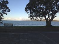 View from the clubhouse